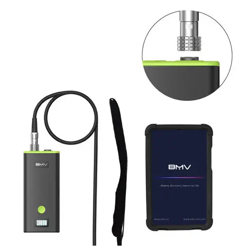 Hand-held veterinary ultrasound system BestScan® S7 Plus Convex-Array Vet