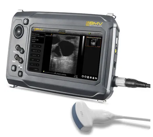 Hand-held veterinary ultrasound system BestScan® S6 Convex-Array Vet